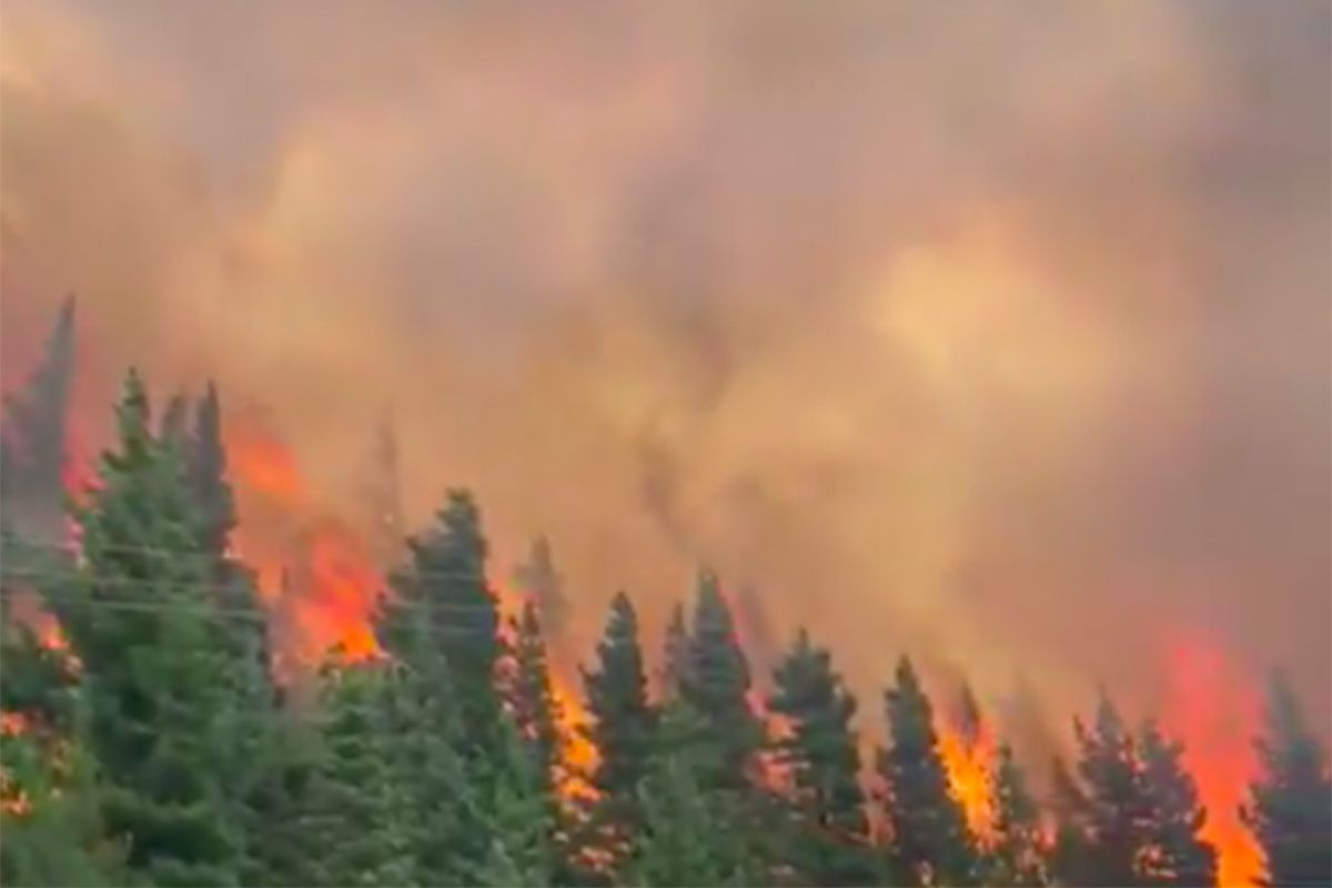 Incendios en Chubut: investigan si uno de los focos fue iniciado por orden de un hacendado