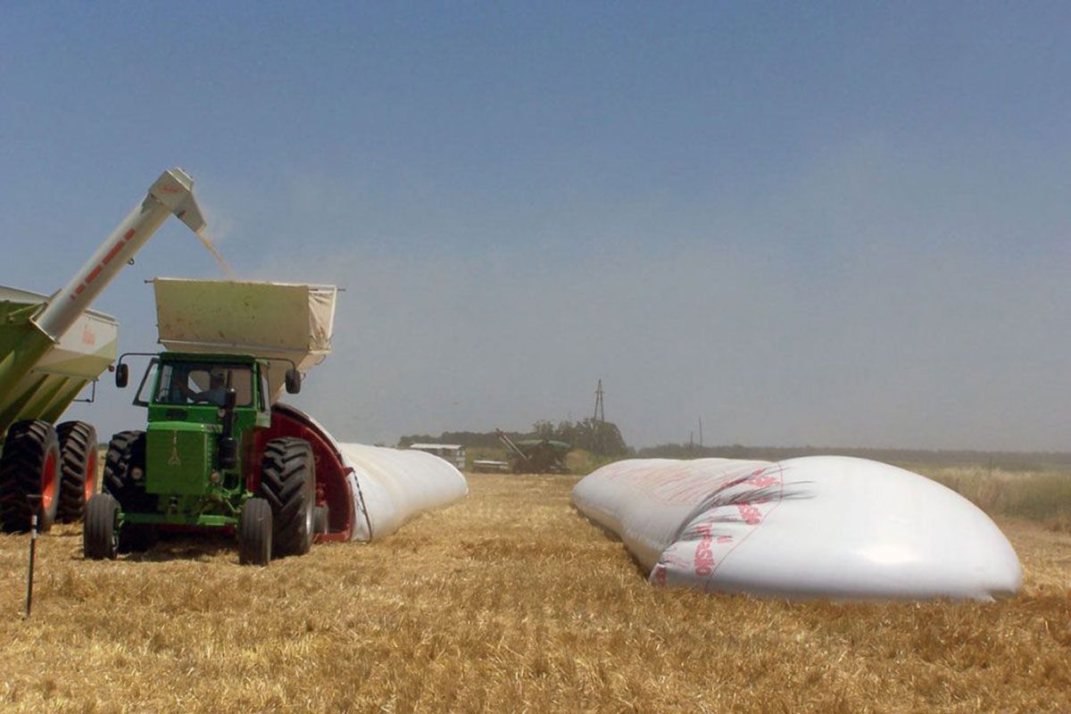 Las empresas del agro se quejan por la rentabilidad pero evitan confrontar con Milei