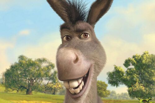 Adiós a Perry, el burro que inspiró al famoso personaje de Shrek