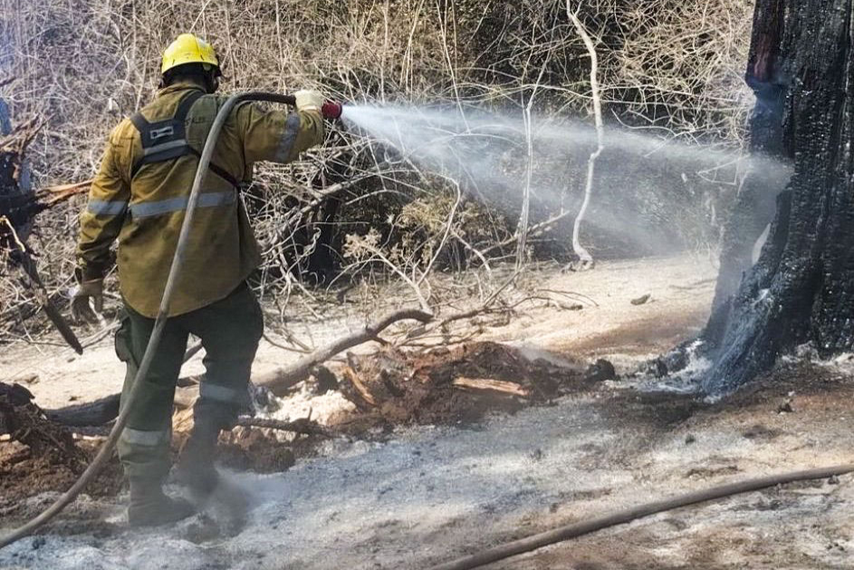 El Estado Nacional y el Gobierno provincial, los dos ausentes en la lucha contra el fuego que arrasa a Río Negro y Chubut