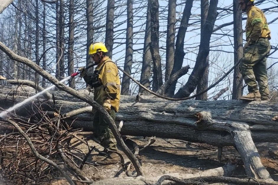 Incendios en la Patagonia: la situación de los principales focos activos