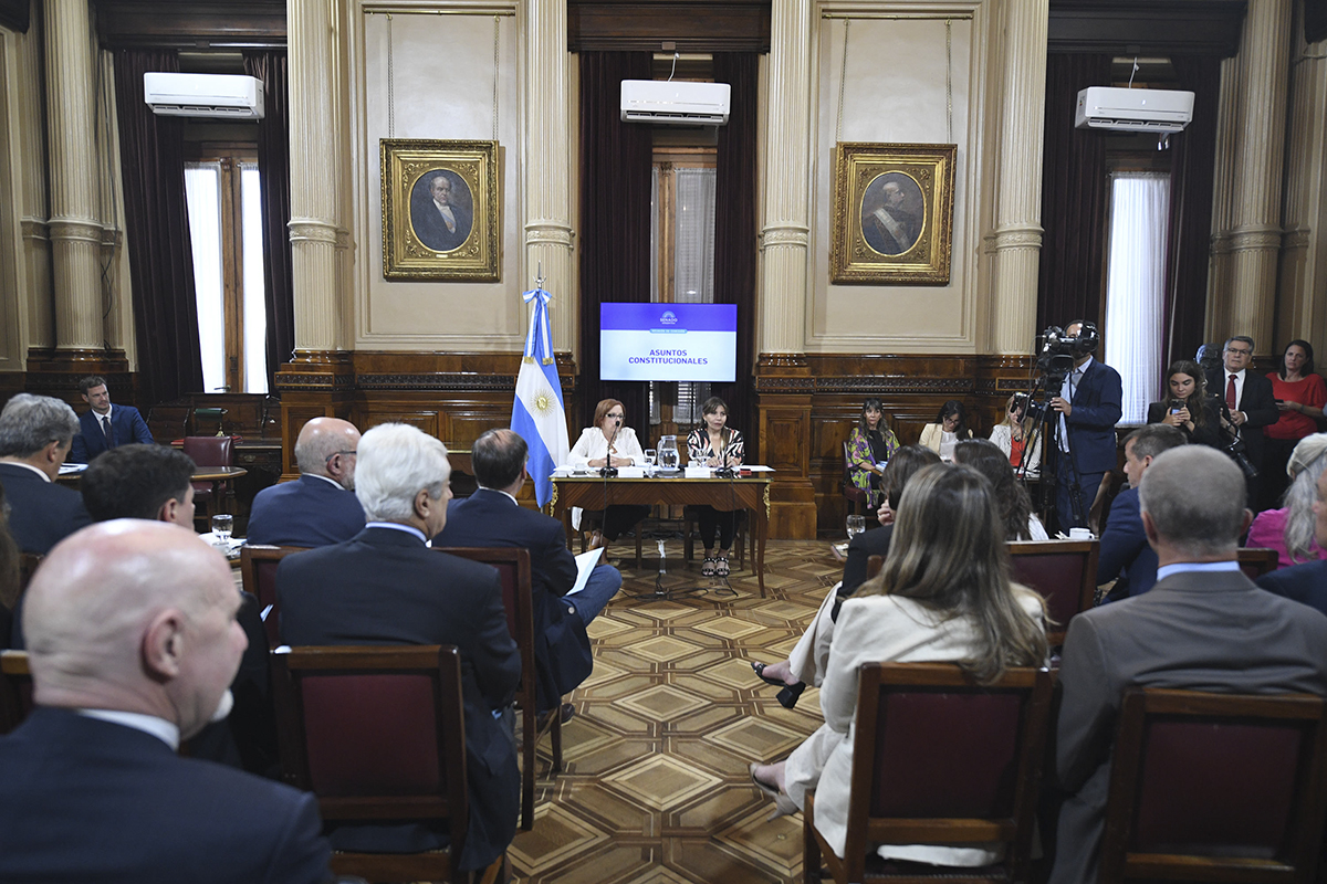 Ficha Limpia obtuvo dictamen en el Senado, pero se tratará después del 1 de marzo en sesiones ordinarias