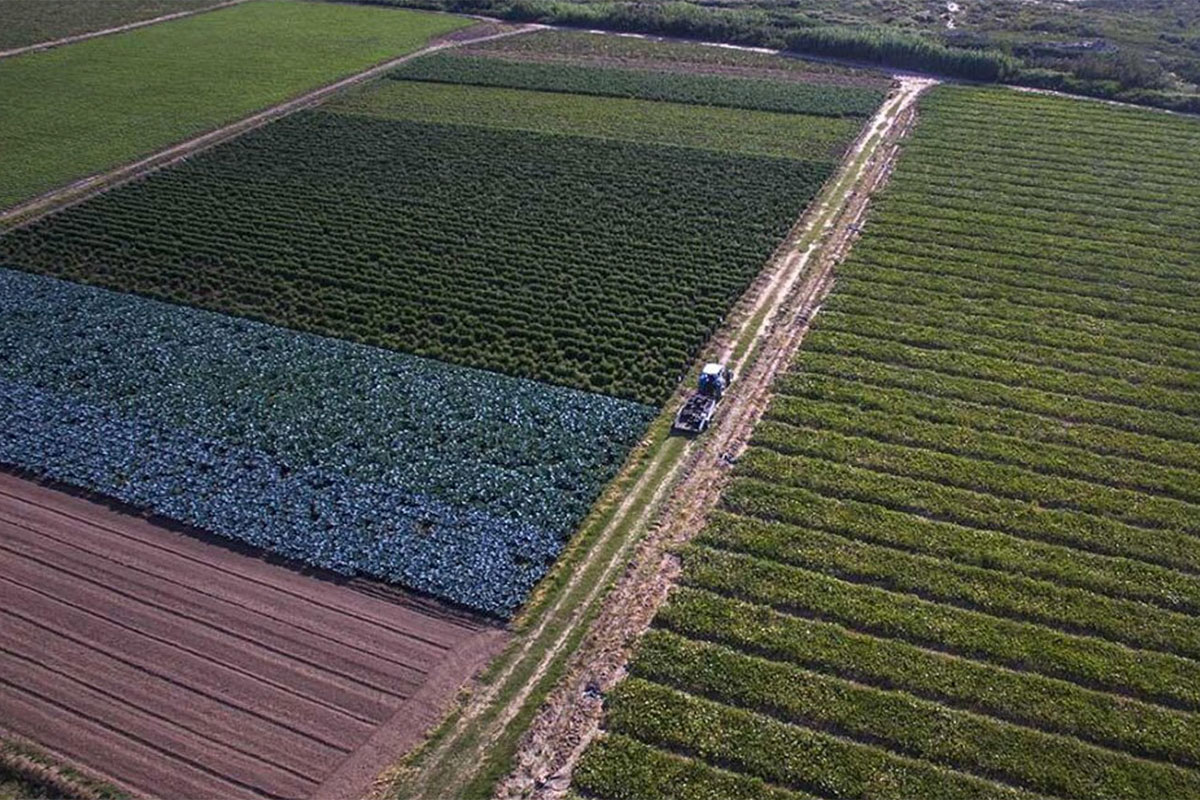 Pequeños y medianos productores rechazan el “aumento desmesurado” del impuesto inmobiliario rural en Córdoba