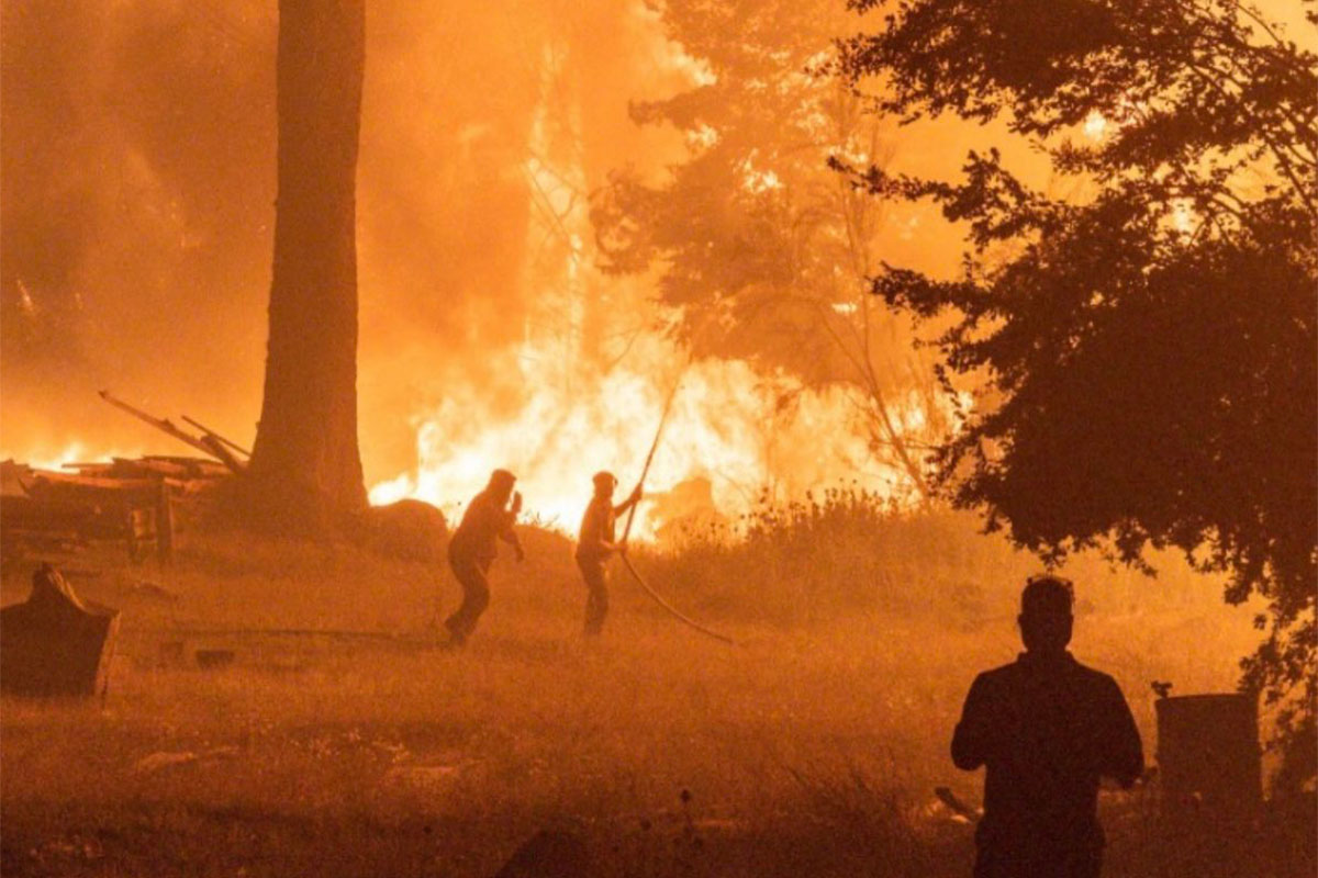 Fuego en El Bolsón: la provincia y el municipio desoyeron decenas de advertencias