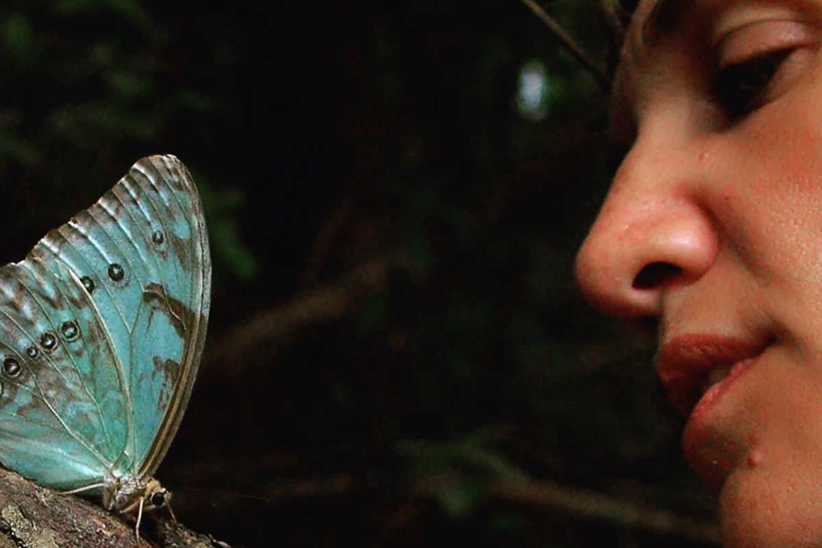 Punta Indio: un viaje por la capital de la Mariposa Bandera Argentina