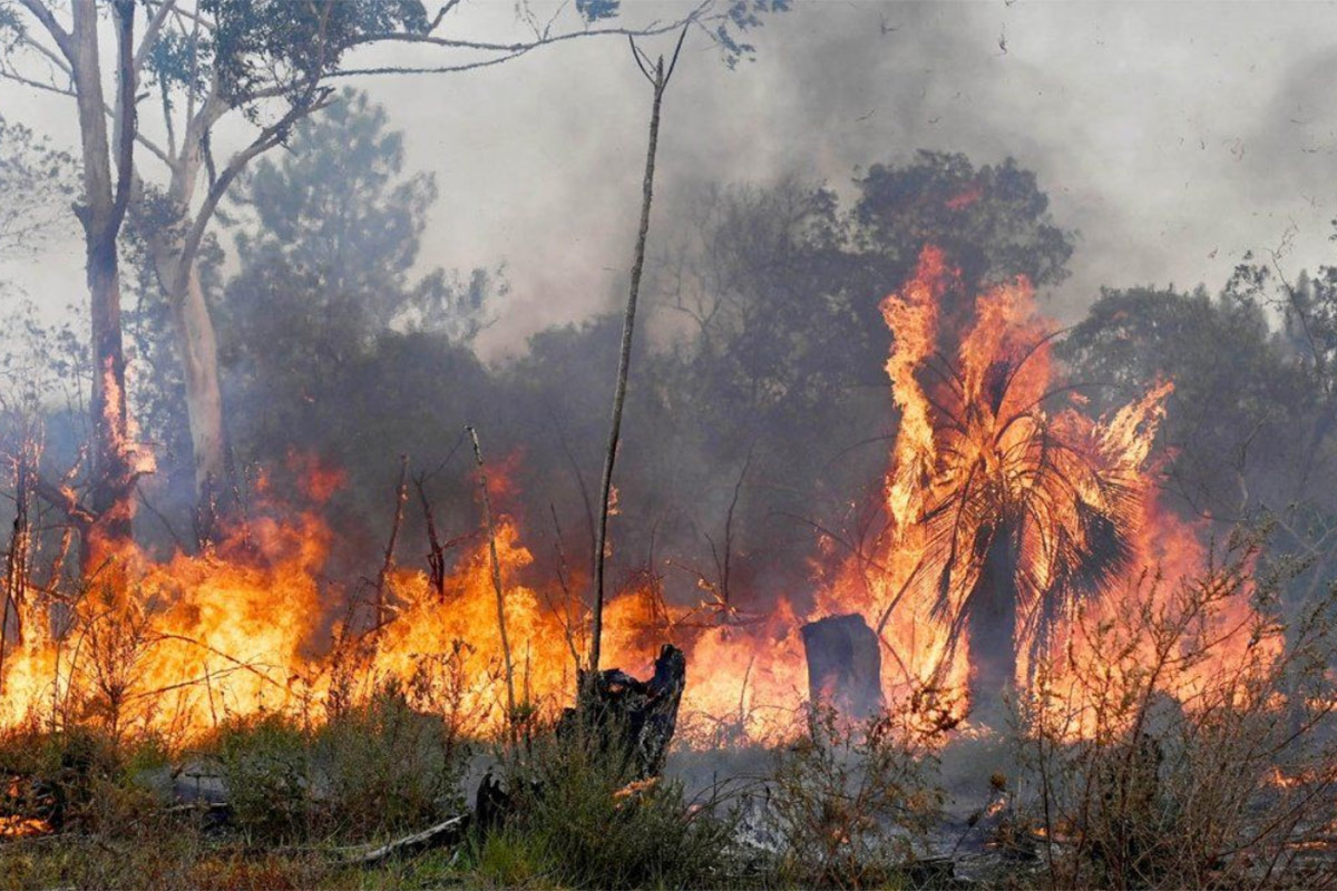 Argentina bajo fuego: en 2025 ya se quemaron casi 300 mil hectáreas