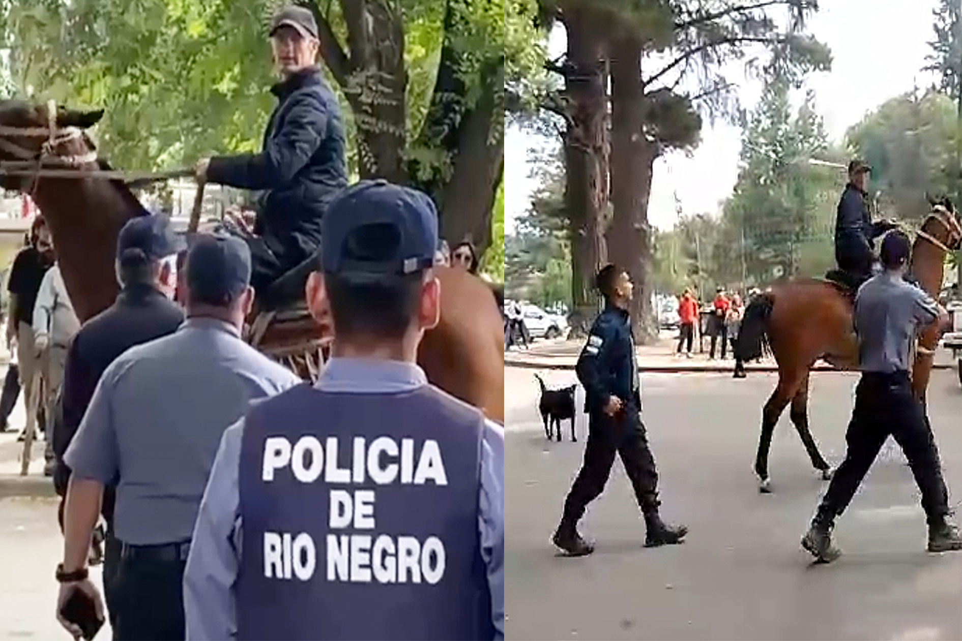 Incendios en El Bolsón: una patota vinculada al municipio y al ejército privado de Lago Escondido atacó a manifestantes