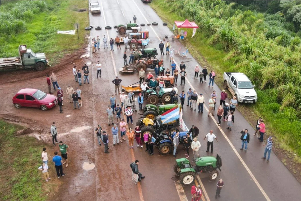 Se agrava la crisis yerbatera: productores denuncian que la industria paga «precio vil» y marzo será «un mes definitorio»